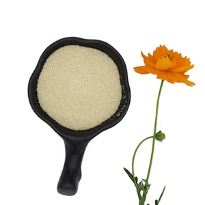 Food Additive Halal Edible Bovine Gelatin Powder Price with ISO 22000 HACCP